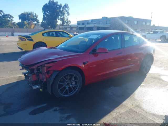 2023 TESLA MODEL 3 5YJ3E1EAXPF713327 Photo 1