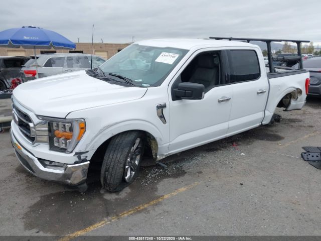 2023 FORD F-150 1FTEW1CP8PKE11048 Photo 1