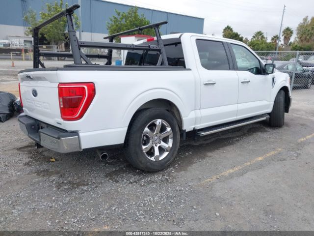 2023 FORD F-150 1FTEW1CP8PKE11048 Photo 3