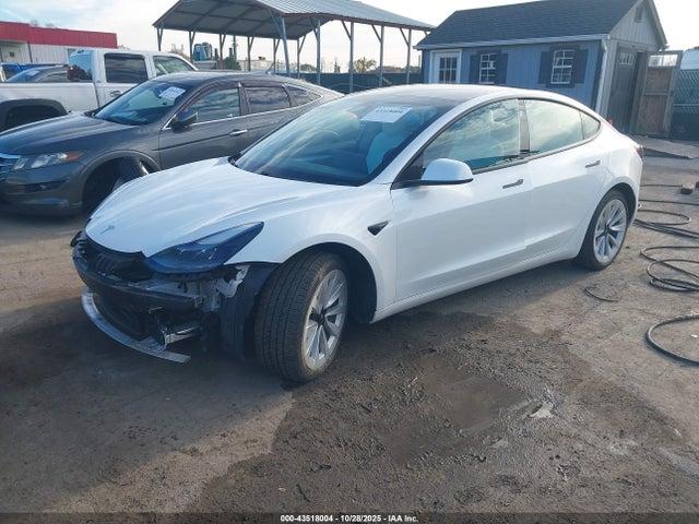 2021 TESLA MODEL 3 5YJ3E1EA9MF084963 Photo 1