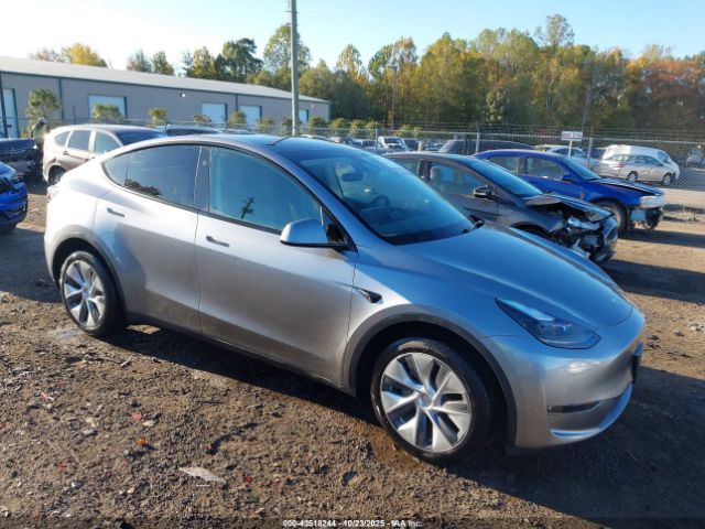 2024 TESLA MODEL Y 7SAYGDEEXRA284388