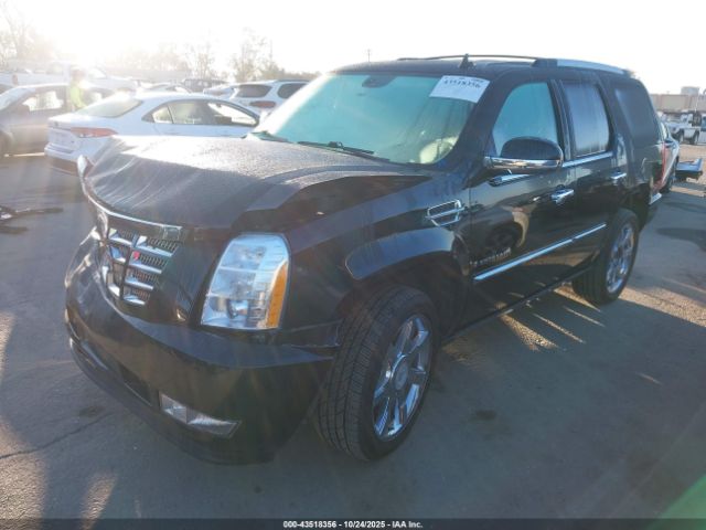 2008 CADILLAC ESCALADE 1GYFK63898R199575 Photo 1