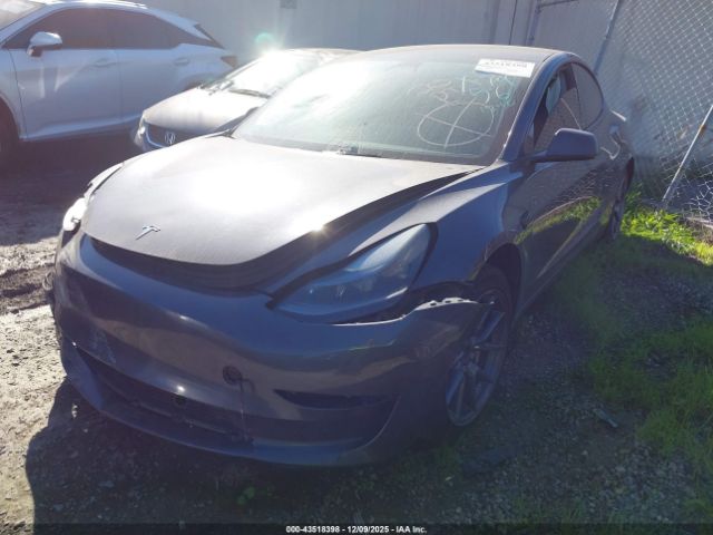 2023 TESLA MODEL 3 5YJ3E1EA8PF603585 Photo 1