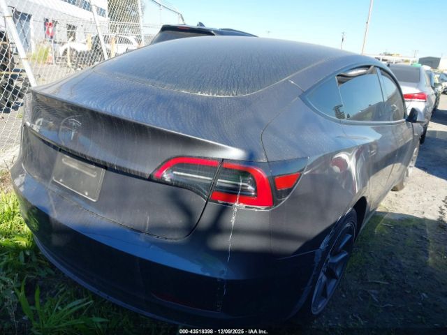 2023 TESLA MODEL 3 5YJ3E1EA8PF603585 Photo 3