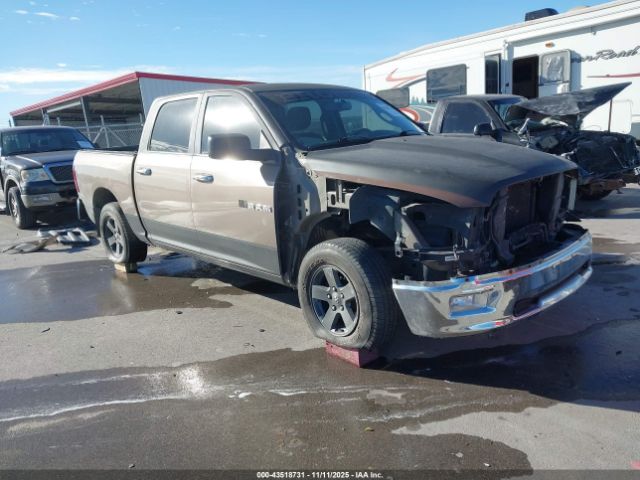 2009 DODGE RAM 1500 1D3HB13TX9S759661