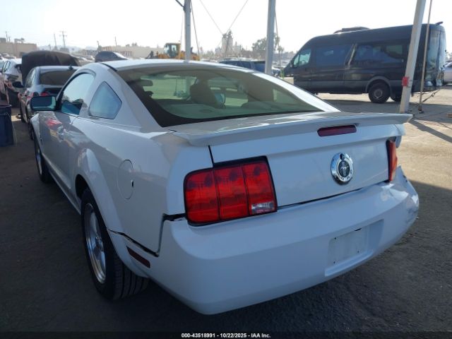 2007 FORD MUSTANG 1ZVHT80N375283895 Photo 2