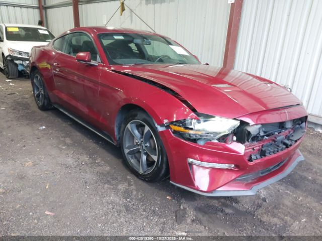 2019 FORD MUSTANG 1FA6P8TH5K5166046