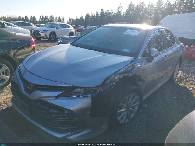 4T1C11AKXLU381686 Toyota CAMRY LE