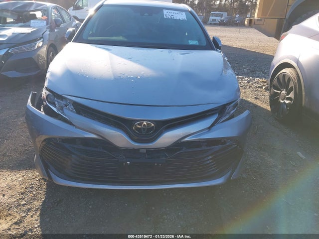4T1C11AKXLU381686 Toyota CAMRY LE