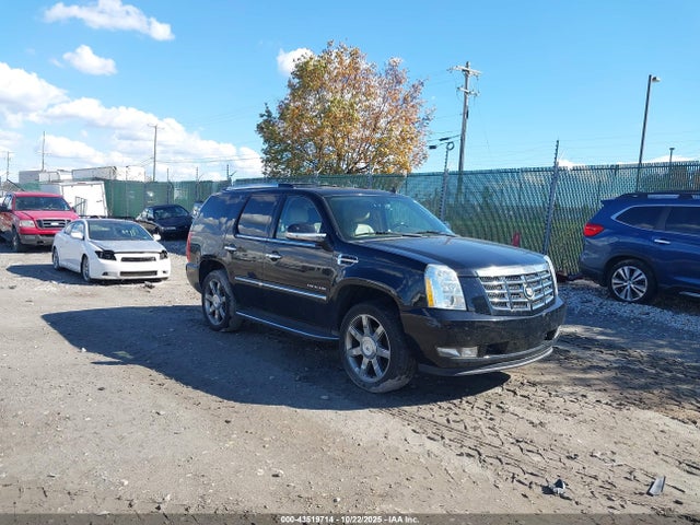 2011 CADILLAC ESCALADE 1GYS4BEF2BR359686 Photo 0