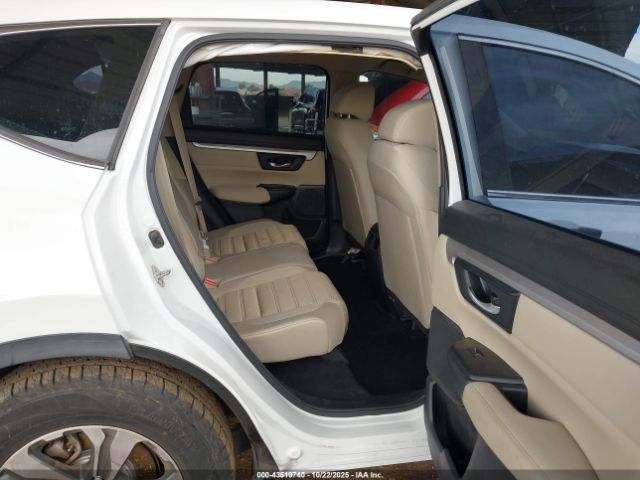 2019 HONDA CR-V 2HKRW5H33KH402456 Photo 7