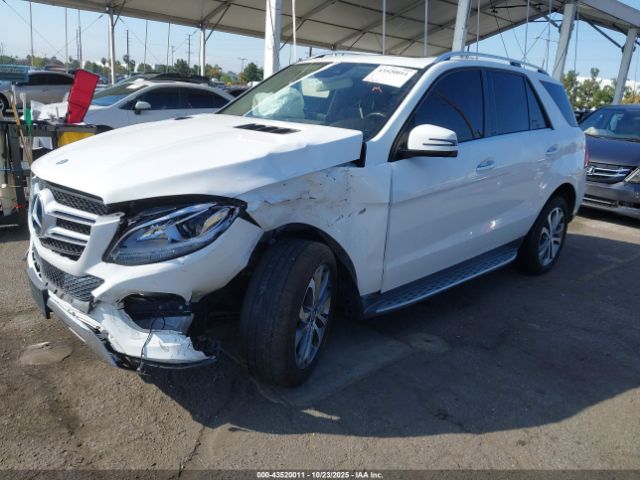 2017 MERCEDES-BENZ GLE 350 4JGDA5JB3HA899966 Photo 1