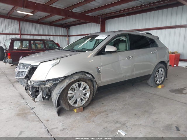 2010 CADILLAC SRX 3GYFNDEY8AS572861 Photo 1