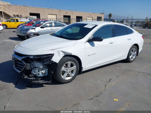 2020 CHEVROLET MALIBU 1G1ZB5ST7LF120443 Photo 1