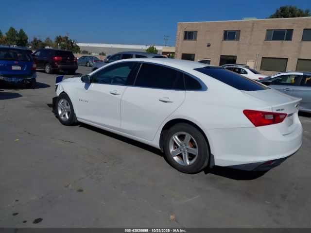 2020 CHEVROLET MALIBU 1G1ZB5ST7LF120443 Photo 2