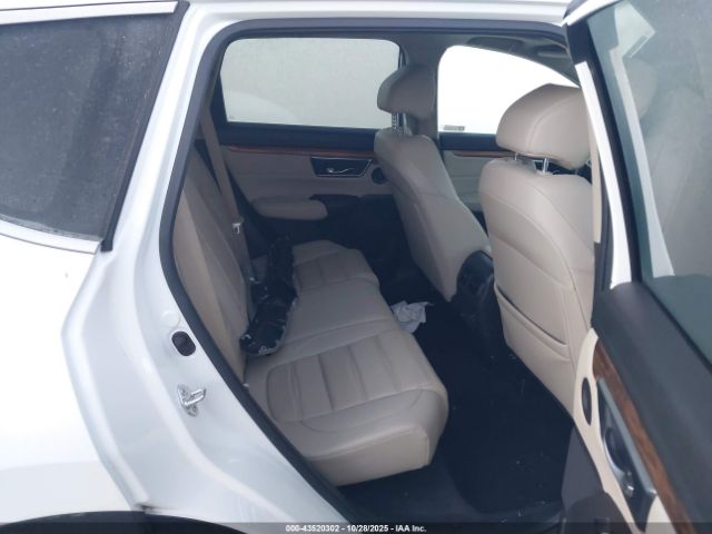 2019 HONDA CR-V JHLRW2H8XKX001519 Photo 7