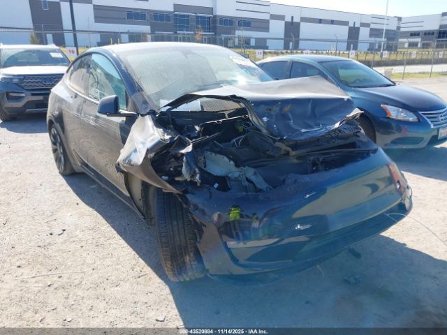 2023 TESLA MODEL Y 7SAYGDEF1PF784383 Photo 0