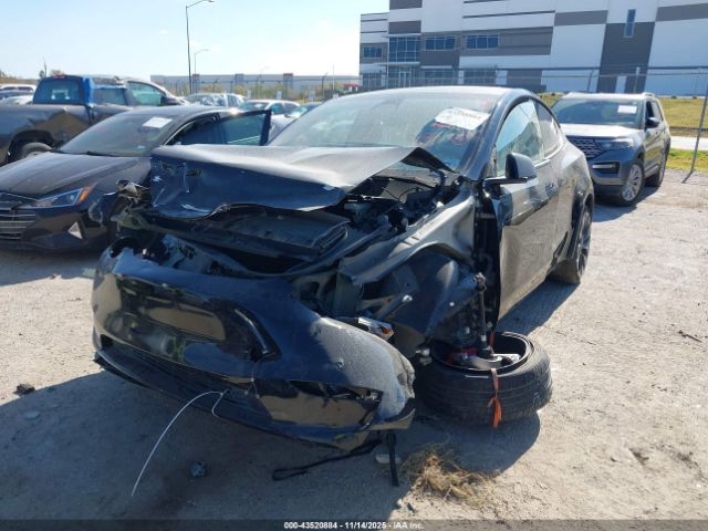 2023 TESLA MODEL Y 7SAYGDEF1PF784383 Photo 1
