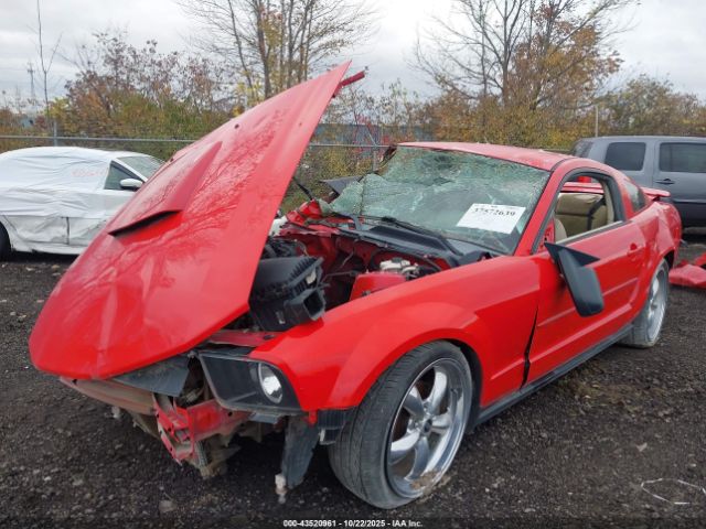 2008 FORD MUSTANG 1ZVHT80N385175147 Photo 1