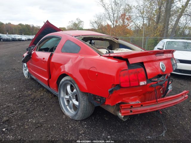 2008 FORD MUSTANG 1ZVHT80N385175147 Photo 2