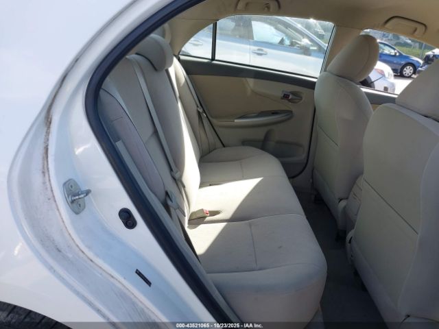 2010 TOYOTA COROLLA JTDBU4EE9AJ063926 Photo 7