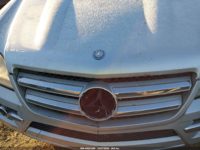 2010 MERCEDES-BENZ GL 450 4JGBF7BE8AA622801 Photo 9