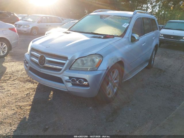 2010 MERCEDES-BENZ GL 450 4JGBF7BE8AA622801 Photo 1