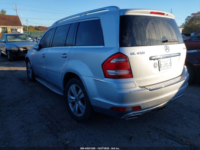2010 MERCEDES-BENZ GL 450 4JGBF7BE8AA622801 Photo 2