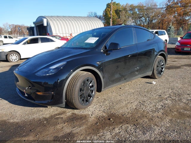 2023 TESLA MODEL Y 7SAYGAEE2PF931669 Photo 1