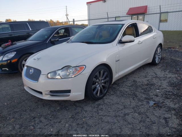 2010 JAGUAR XF SAJWA0GB7ALR58648 Photo 1