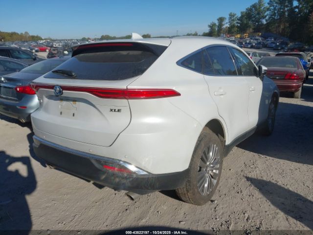 2023 TOYOTA VENZA JTEAAAAH1PJ146483 Photo 3