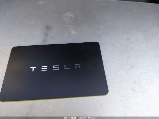 2025 TESLA MODEL 3 5YJ3E1EA5SF067199 Photo 10