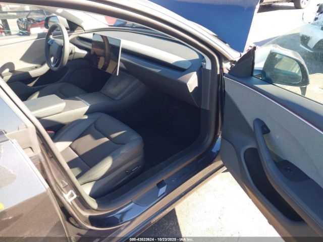 2025 TESLA MODEL 3 5YJ3E1EA5SF067199 Photo 4