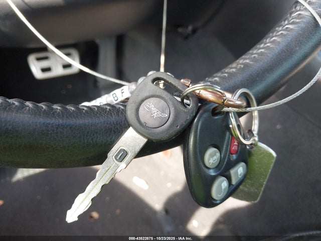 2003 CHEVROLET CORVETTE 1G1YY22G435131031 Photo 10