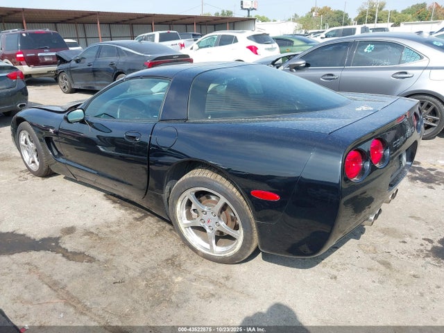 2003 CHEVROLET CORVETTE 1G1YY22G435131031 Photo 2