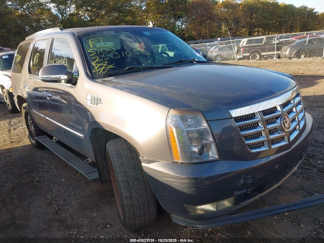 2010 CADILLAC ESCALADE 1GYUCCEF9AR118689 Photo 0