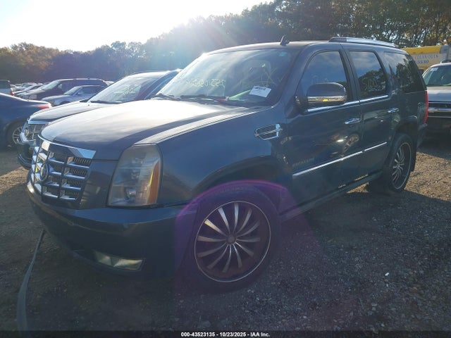 2010 CADILLAC ESCALADE 1GYUCCEF9AR118689 Photo 1