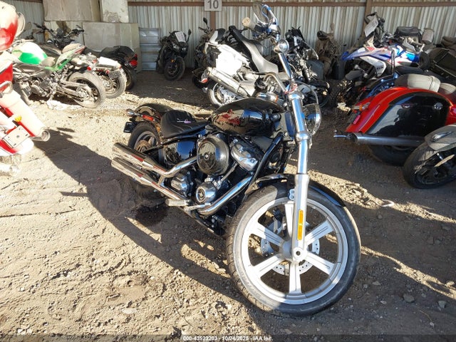 2024 HARLEY-DAVIDSON FXST 1HD1BVJ15RB049956