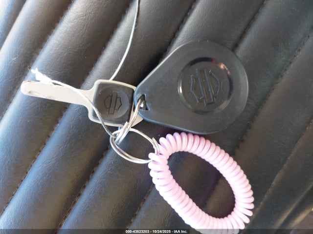 2024 HARLEY-DAVIDSON FXST 1HD1BVJ15RB049956 Photo 10