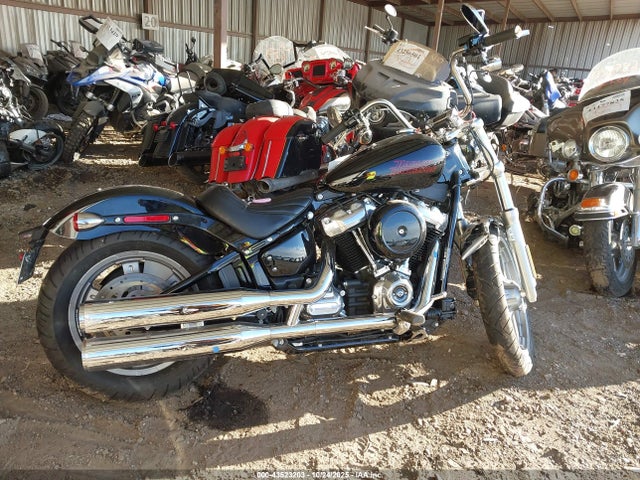 2024 HARLEY-DAVIDSON FXST 1HD1BVJ15RB049956 Photo 3