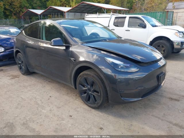 2024 TESLA MODEL Y 7SAYGDED8RF122821 Photo 0