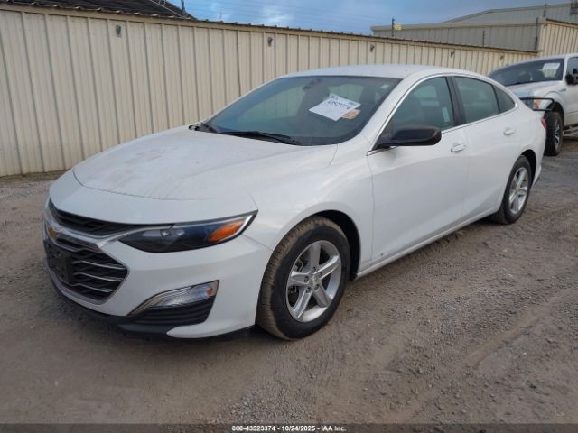 2020 CHEVROLET MALIBU 1G1ZC5ST8LF083027 Photo 1
