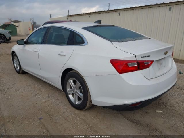 2020 CHEVROLET MALIBU 1G1ZC5ST8LF083027 Photo 2