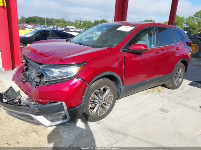 2022 HONDA CR-V 5J6RW1H81NA022929 Photo 1