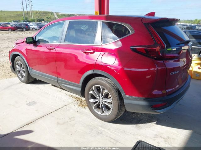2022 HONDA CR-V 5J6RW1H81NA022929 Photo 2