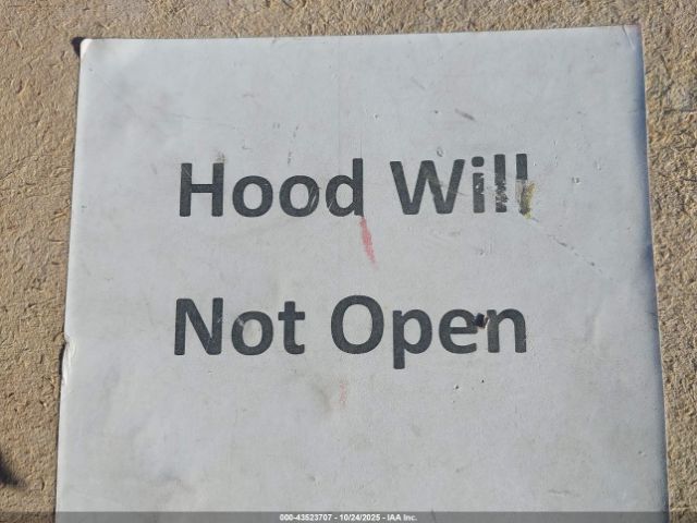 1985 FORD BRONCO 1FMDU15H4FLA52552 Photo 9