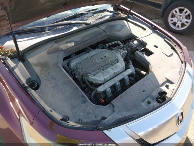 2009 ACURA TL 19UUA86509A021617 Photo 9