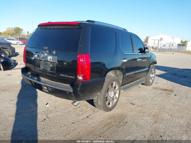 2010 CADILLAC ESCALADE 1GYUCBEF4AR159158 Photo 3