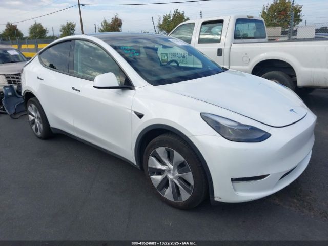 2023 TESLA MODEL Y 7SAYGDEE6PF631182 Photo 0