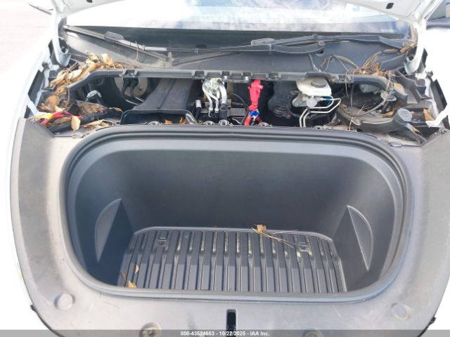 2023 TESLA MODEL Y 7SAYGDEE6PF631182 Photo 9